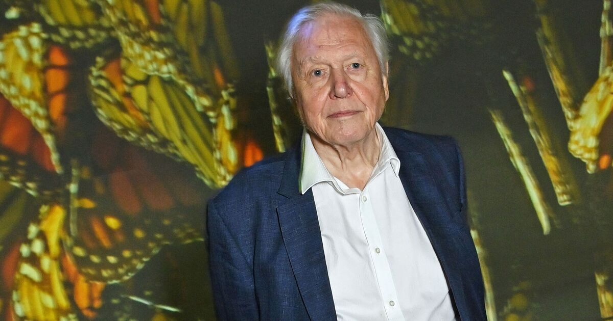 Attenborough's 99th Birthday Warning: The End Is Near?