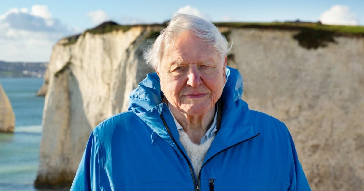 David Attenborough: Akhir Kehidupan? Film Baru Yang Menyentuh