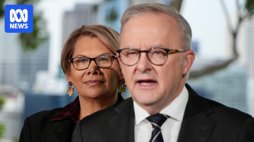 Greens Party Probe Into Dorinda Cox Concludes