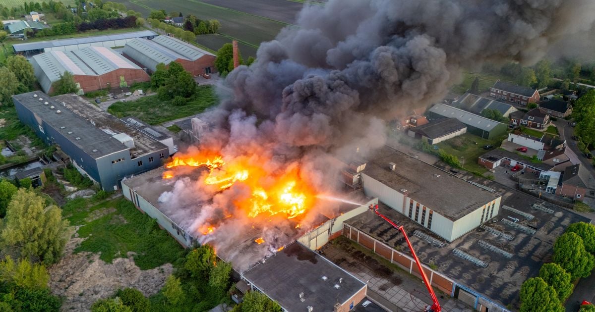 Hennepverwerker Oude Pekela: Merk Succesvol