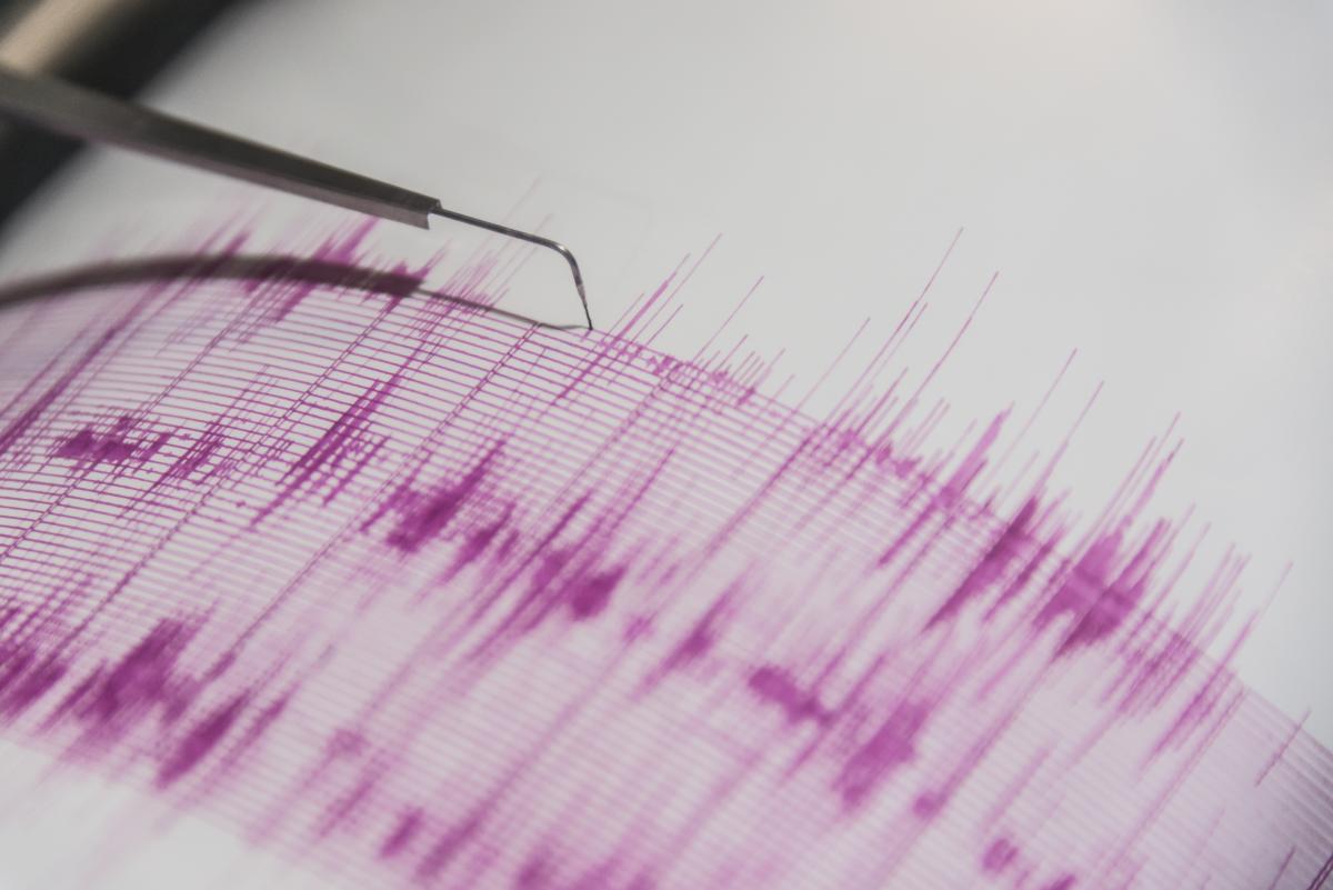 Light Quake Hits Wellington: City Feels Tremor