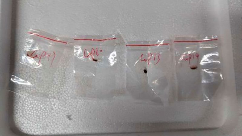 Michigan Lab: Bio-Pathogen Smuggling Case, Two Chinese Researchers