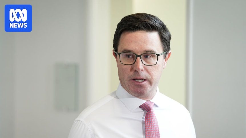 National Party Leadership Race: Littleproud Vs Canavan