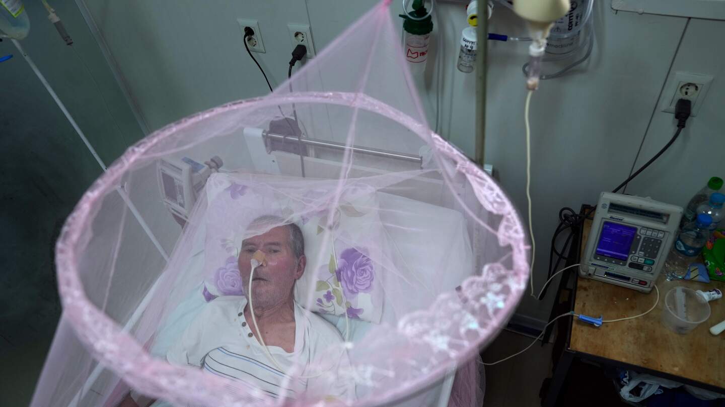 No Chikungunya Shot For Seniors: US Health Warning