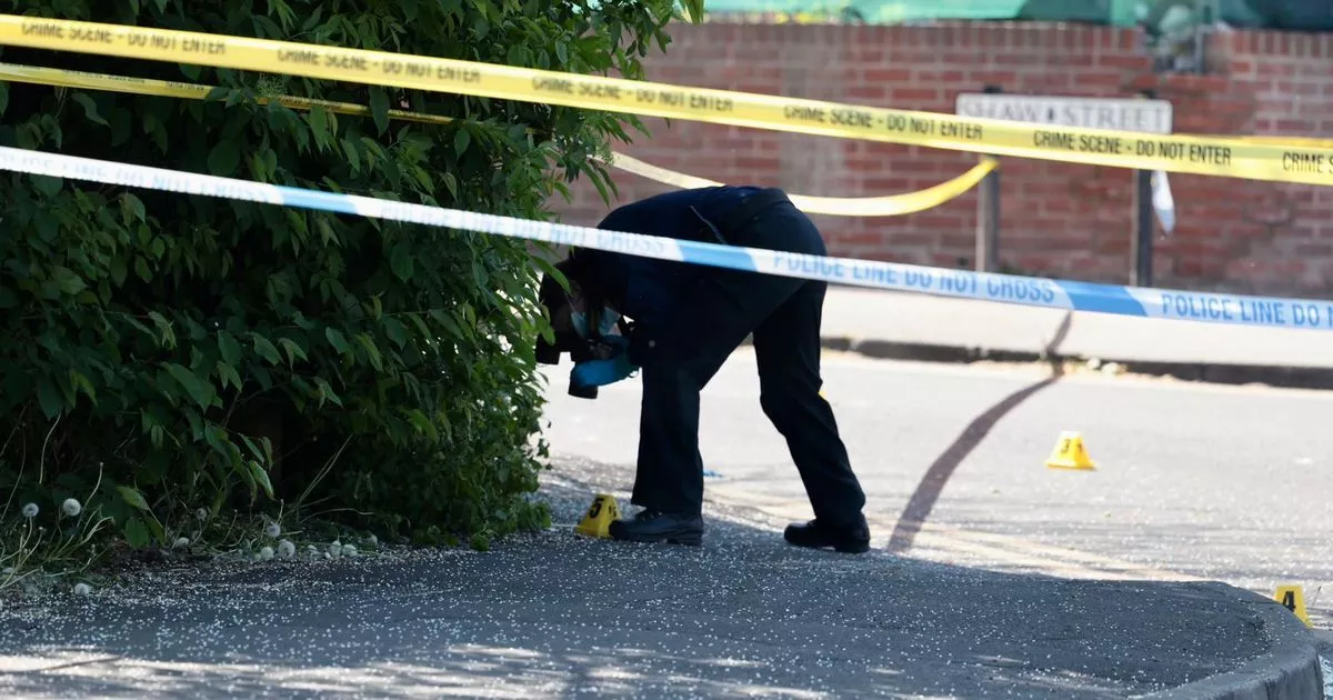 Pedestrian Hit: Assault Arrests After Van Crash