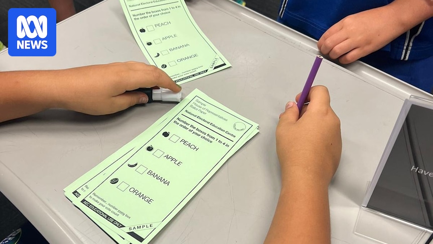 Preferential Voting In Australia: Your Vote Explained