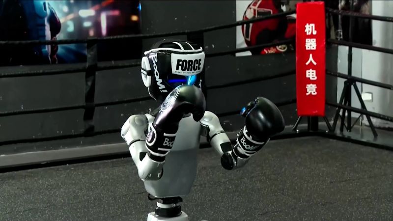 Robot Kung Fu:  Chinese Boxing Showdown
