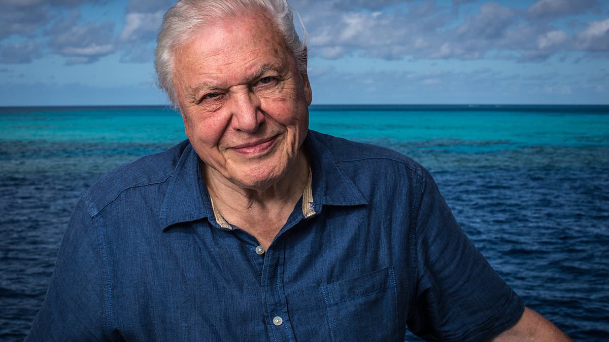 Sir David Attenborough's Longevity Diet