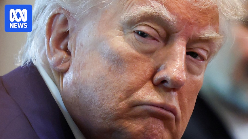 Trump Vs. Fed Chair: Who Knows Rates Better?