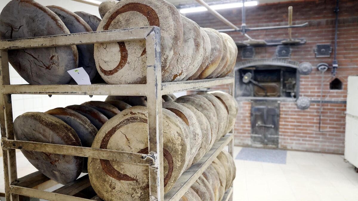 Usine Poilâne: Fermeture Urgente Pour Saleté
